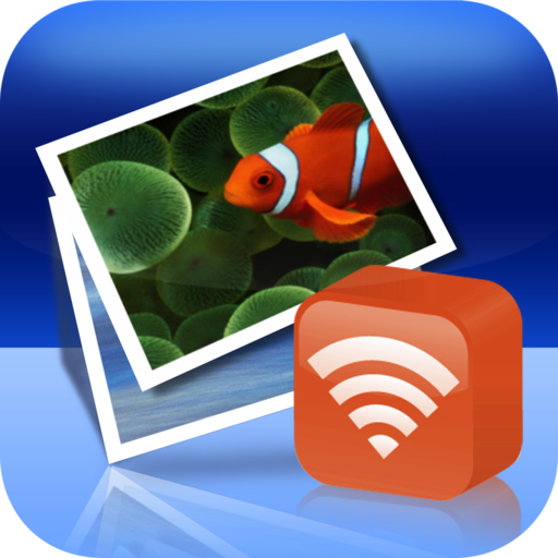 WirelessMon段首LOGO